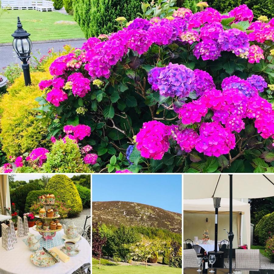 Hillcrest Farmhouse Bed & Breakfast Boyhollagh Exteriér fotografie